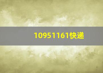 10951161快递