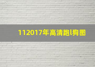 112017年高清跑l狗图