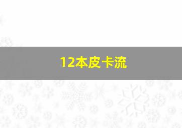 12本皮卡流