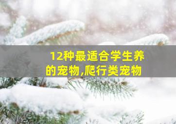 12种最适合学生养的宠物,爬行类宠物