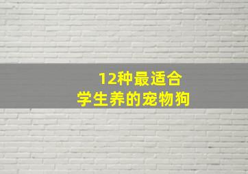 12种最适合学生养的宠物狗