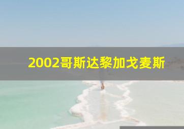 2002哥斯达黎加戈麦斯