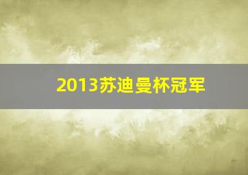 2013苏迪曼杯冠军