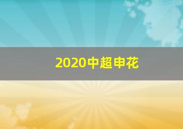 2020中超申花