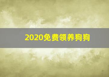 2020免费领养狗狗