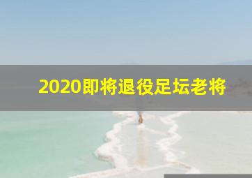 2020即将退役足坛老将