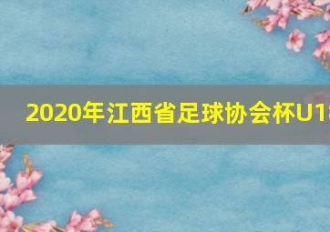 2020年江西省足球协会杯U18