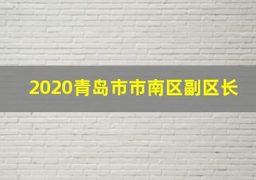 2020青岛市市南区副区长