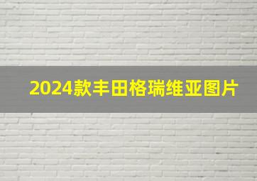 2024款丰田格瑞维亚图片