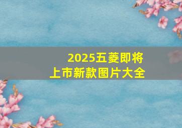 2025五菱即将上市新款图片大全