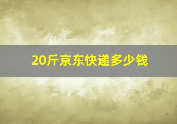 20斤京东快递多少钱