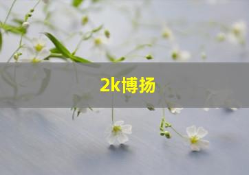 2k博扬