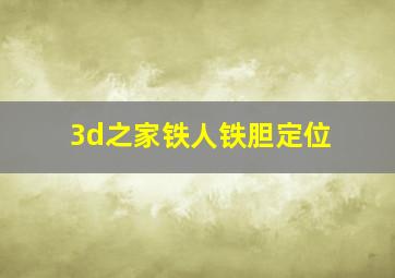 3d之家铁人铁胆定位