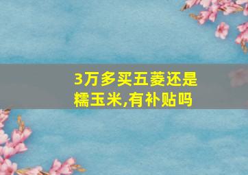 3万多买五菱还是糯玉米,有补贴吗