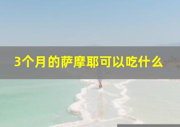 3个月的萨摩耶可以吃什么