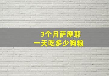 3个月萨摩耶一天吃多少狗粮