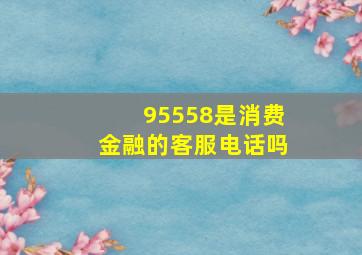 95558是消费金融的客服电话吗