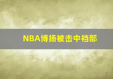 NBA博扬被击中裆部