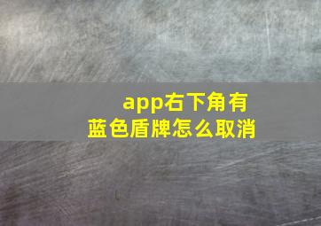 app右下角有蓝色盾牌怎么取消