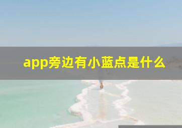 app旁边有小蓝点是什么