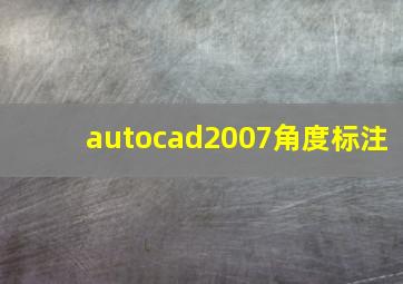 autocad2007角度标注