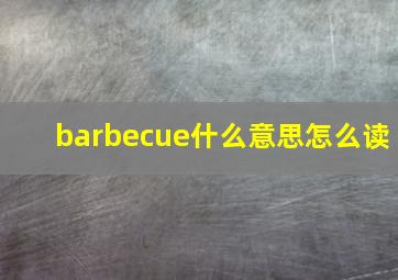 barbecue什么意思怎么读