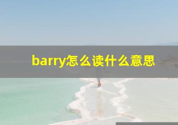 barry怎么读什么意思