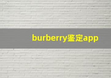 burberry鉴定app