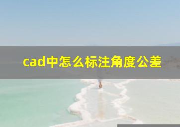 cad中怎么标注角度公差