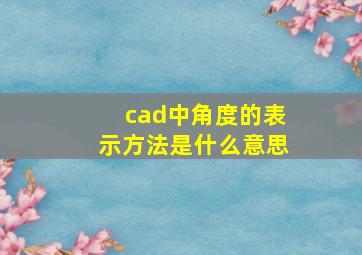 cad中角度的表示方法是什么意思