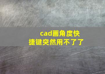 cad画角度快捷键突然用不了了