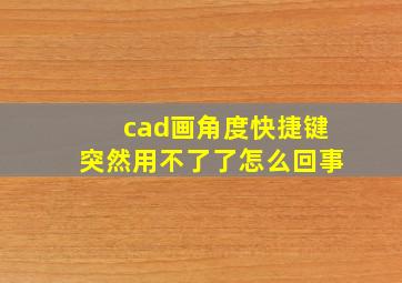 cad画角度快捷键突然用不了了怎么回事