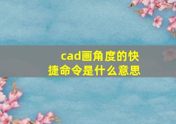 cad画角度的快捷命令是什么意思