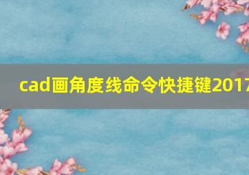 cad画角度线命令快捷键2017