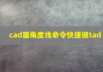 cad画角度线命令快捷键tad