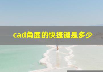 cad角度的快捷键是多少