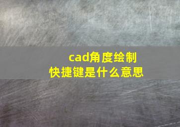 cad角度绘制快捷键是什么意思