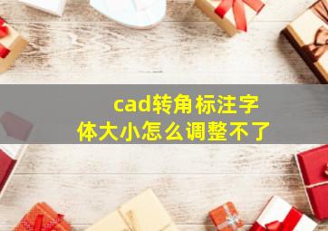 cad转角标注字体大小怎么调整不了