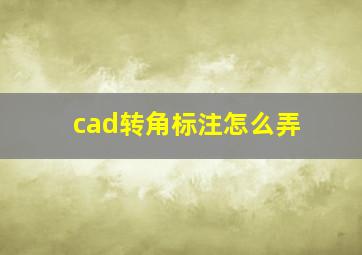 cad转角标注怎么弄