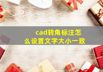 cad转角标注怎么设置文字大小一致