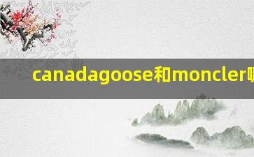 canadagoose和moncler哪个好