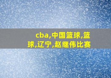 cba,中国篮球,篮球,辽宁,赵继伟比赛