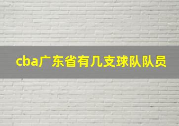 cba广东省有几支球队队员