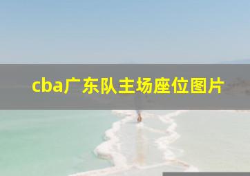 cba广东队主场座位图片