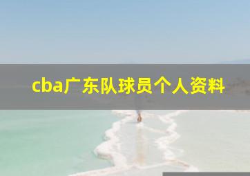 cba广东队球员个人资料