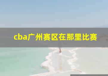 cba广州赛区在那里比赛