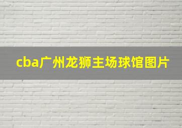 cba广州龙狮主场球馆图片