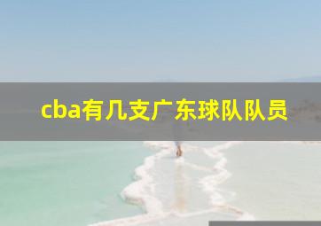 cba有几支广东球队队员