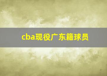 cba现役广东籍球员