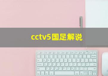 cctv5国足解说